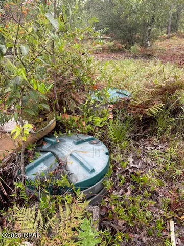 $145,900 | 4539 Northwest Miller/white Ln Road, Altha, FL 32421