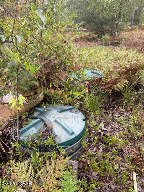 4539 Northwest Miller/white Ln Road Altha, FL 32421 - Photo 54 of 79