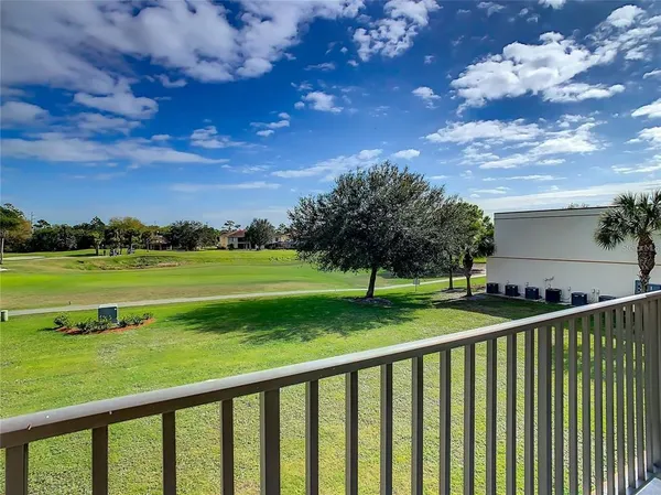 a view of grassy field with grass
