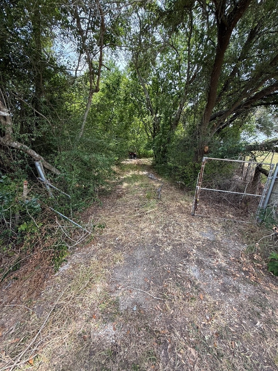 a view of backyard with green space