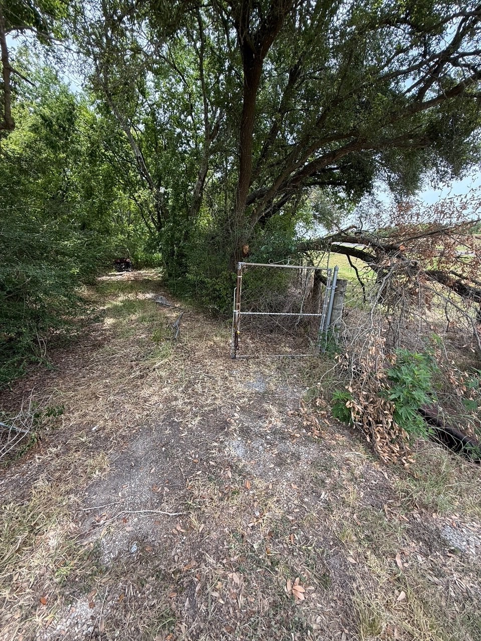 0 Lake Road La Marque, TX 77568 - Photo 2 of 12 a backyard of a house with table and chairs