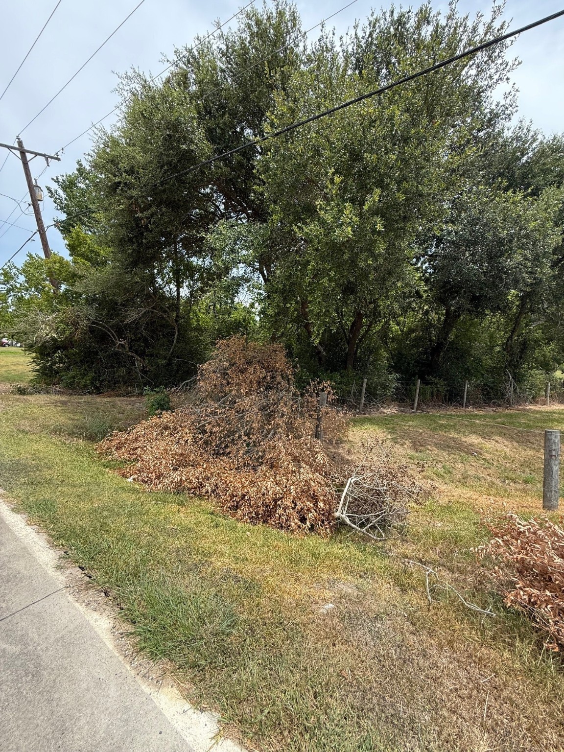 0 Lake Road La Marque, TX 77568 - Photo 9 of 12 a backyard of a house with lots of green space