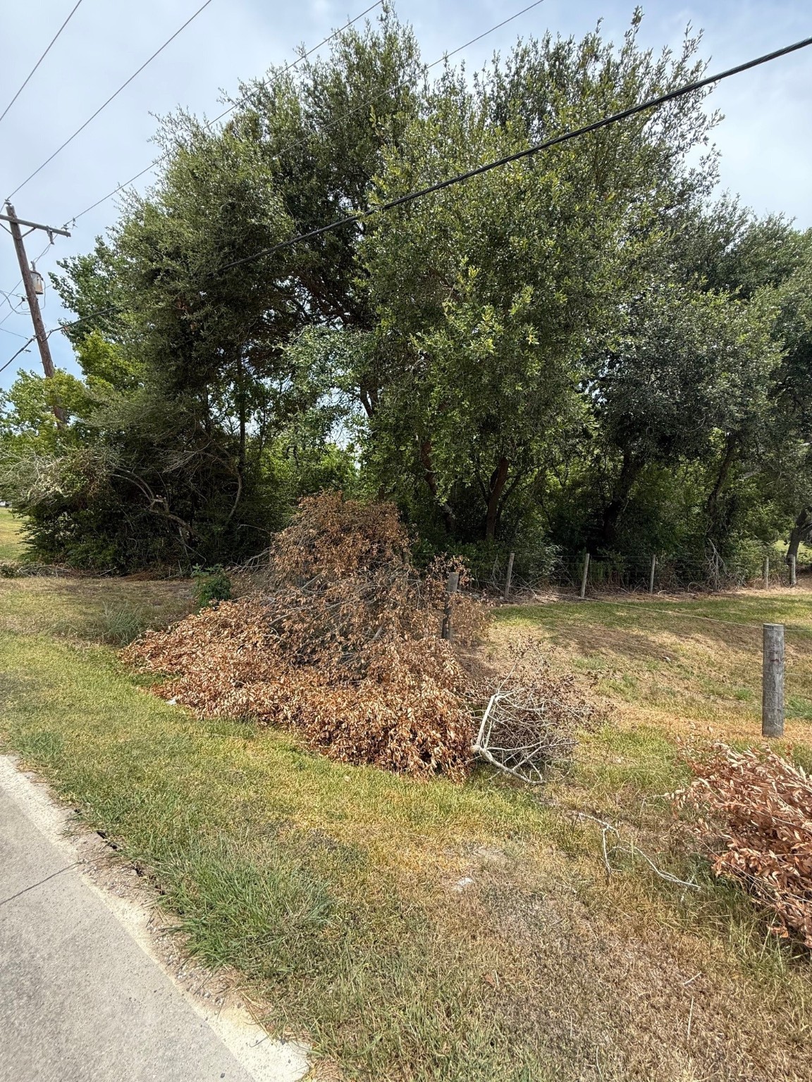 0 Lake Road La Marque, TX 77568 - Photo 10 of 12 a backyard of a house with lots of green space