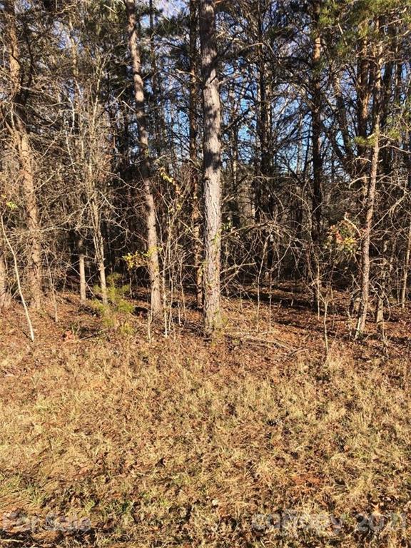 Lot # Brady Hoffman Road, Unit 3 Lincolnton, NC 28092 - Photo 1 of 3 Gallery Image 1