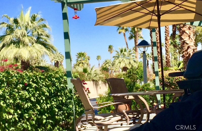 119 Del Mar Rancho Mirage, CA 92270 - Photo 30 of 40 a view of a flower