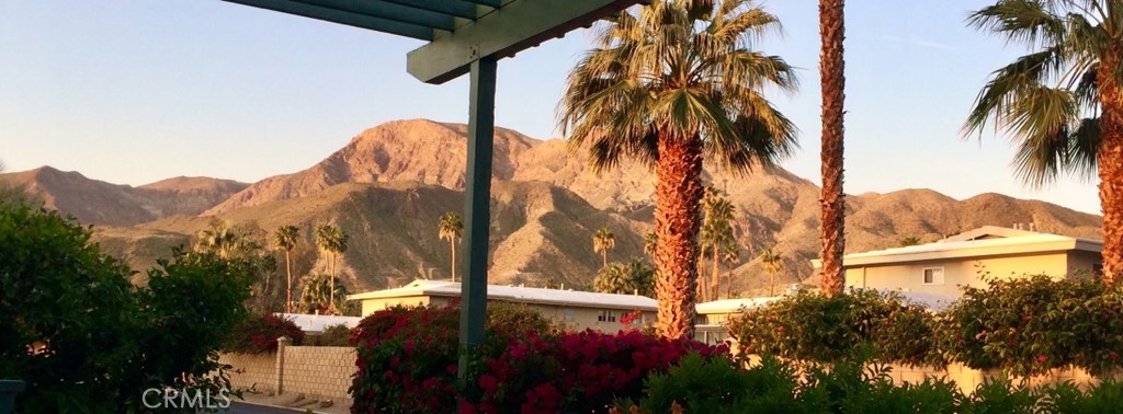 119 Del Mar Rancho Mirage, CA 92270 - Photo 3 of 40 a view of a palm tree in front of a house