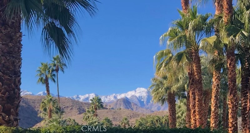 119 Del Mar Rancho Mirage, CA 92270 - Photo 33 of 40 a view of a yard