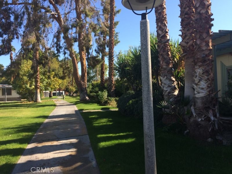 119 Del Mar Rancho Mirage, CA 92270 - Photo 35 of 40 a view of a park with plants
