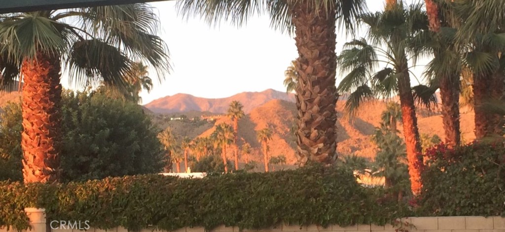 119 Del Mar Rancho Mirage, CA 92270 - Photo 4 of 40 a view of a yard