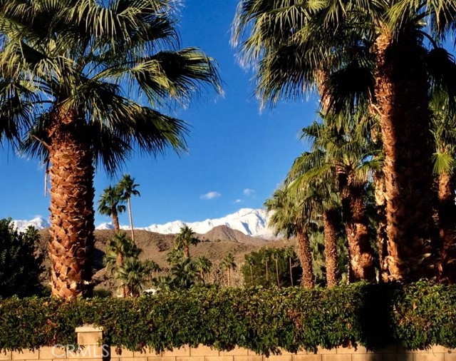 119 Del Mar Rancho Mirage, CA 92270 - Photo 5 of 40 a view of outdoor space with a garden