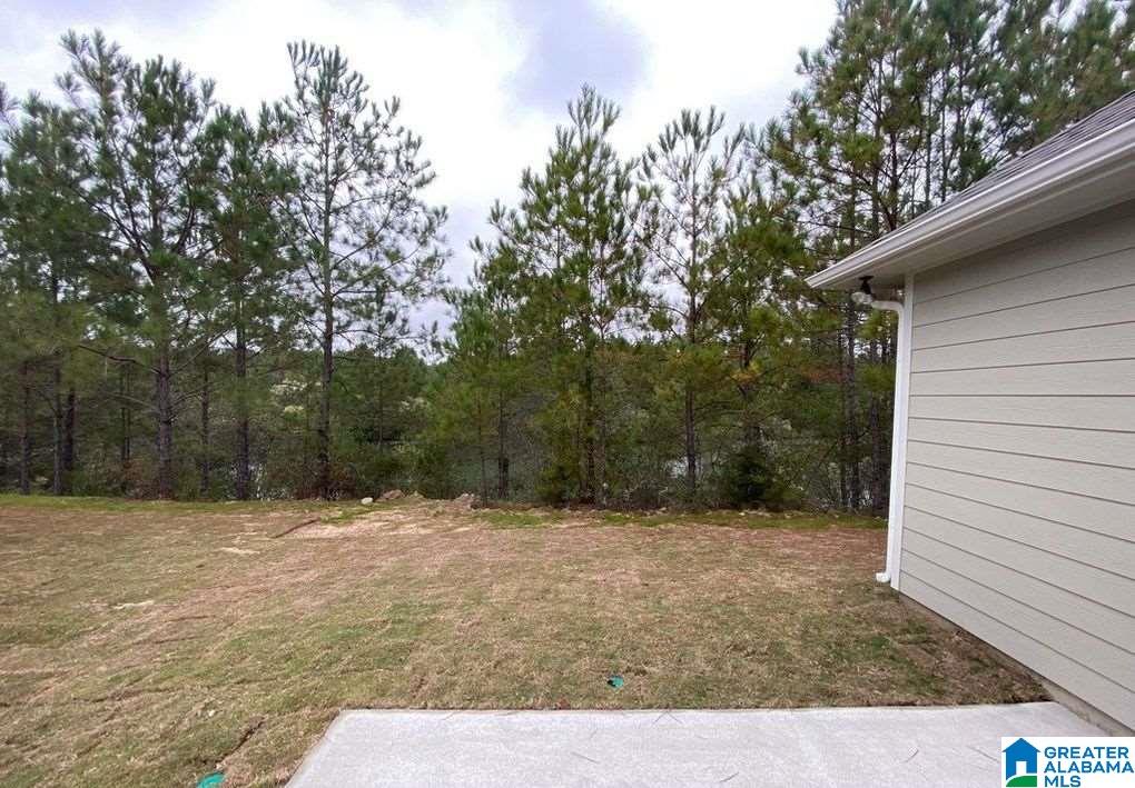11410 Crimson Ridge Road Brookwood, AL 35444 - Photo 20 of 21