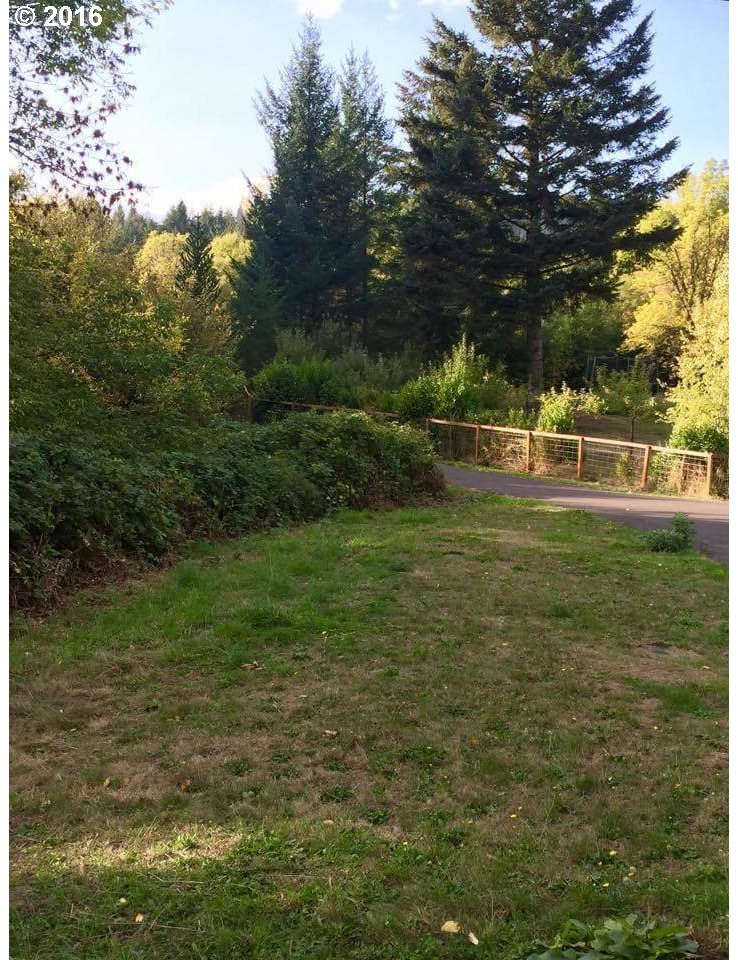 41 Fern Meadows Road Stevenson, WA 98648 - Photo 3 of 18