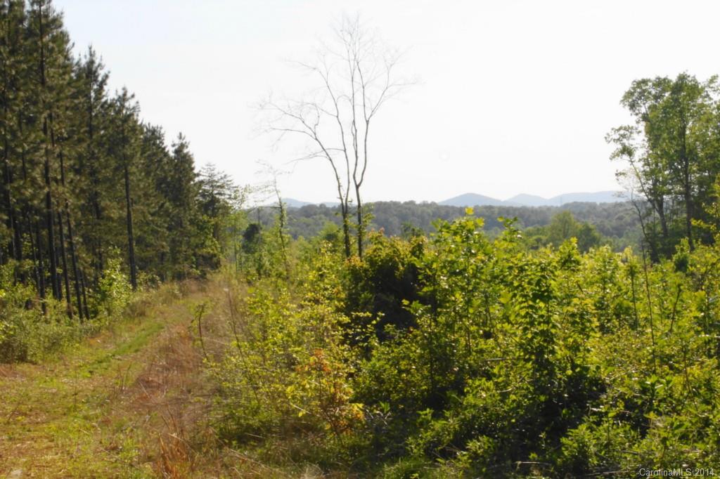48.8-ac Bassett Road Olin, NC 28660 - Photo 1 of 3 Gallery Image 1