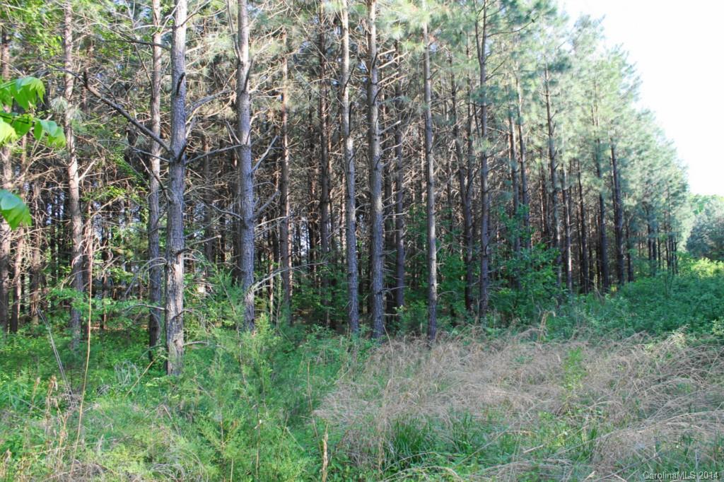48.8-ac Bassett Road Olin, NC 28660 - Photo 2 of 3 Gallery Image 2