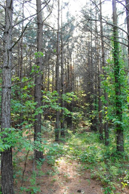 48.8-ac Bassett Road Olin, NC 28660 - Photo 3 of 3 Gallery Image 3
