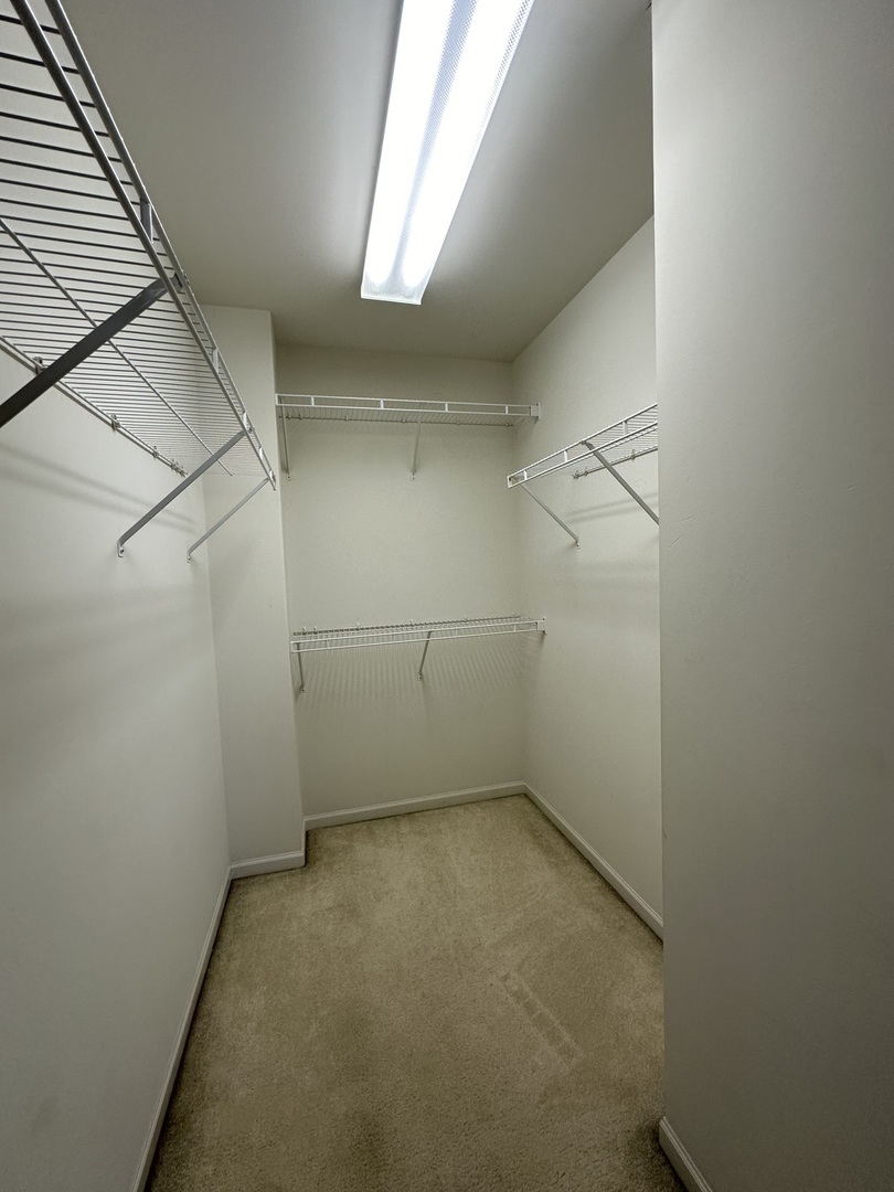 2462 Emily Lane Elgin, IL 60124 - Photo 17 of 19