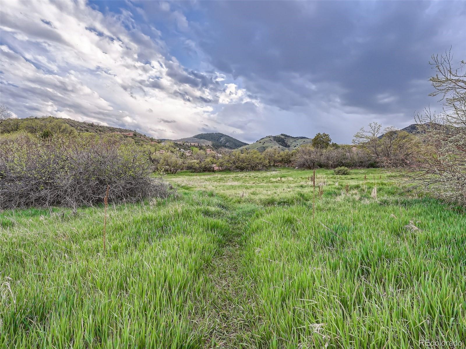 6650 Crestbrook Drive Morrison, CO 80465 - Photo 36 of 38 a view of an lush green mountain
