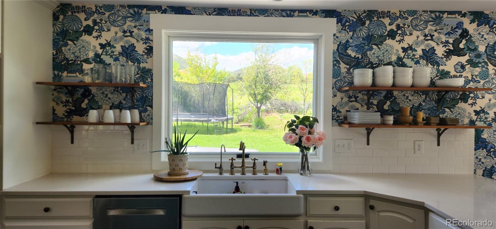 6650 Crestbrook Drive Morrison, CO 80465 - Photo 5 of 38 a kitchen with a sink and a potted plant