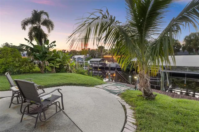 a potted plant sitting in front of a door