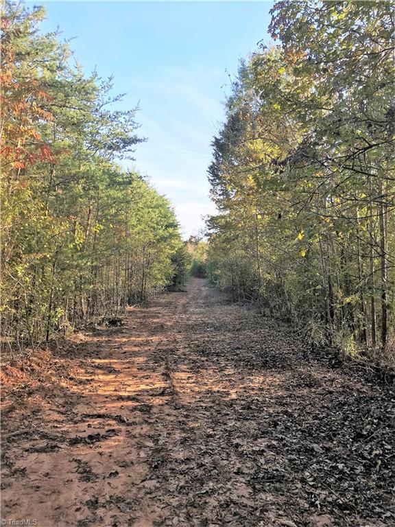 18.609-ac Smothers Road Madison, NC 27025 - Photo 14 of 23 Gallery Image 14