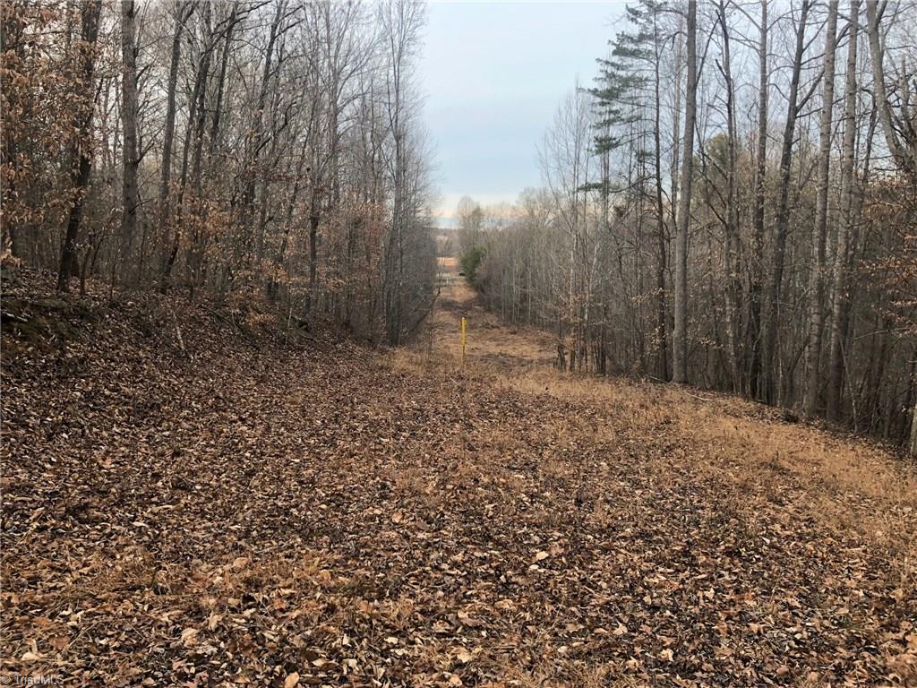 18.609-ac Smothers Road Madison, NC 27025 - Photo 22 of 23 Gallery Image 22