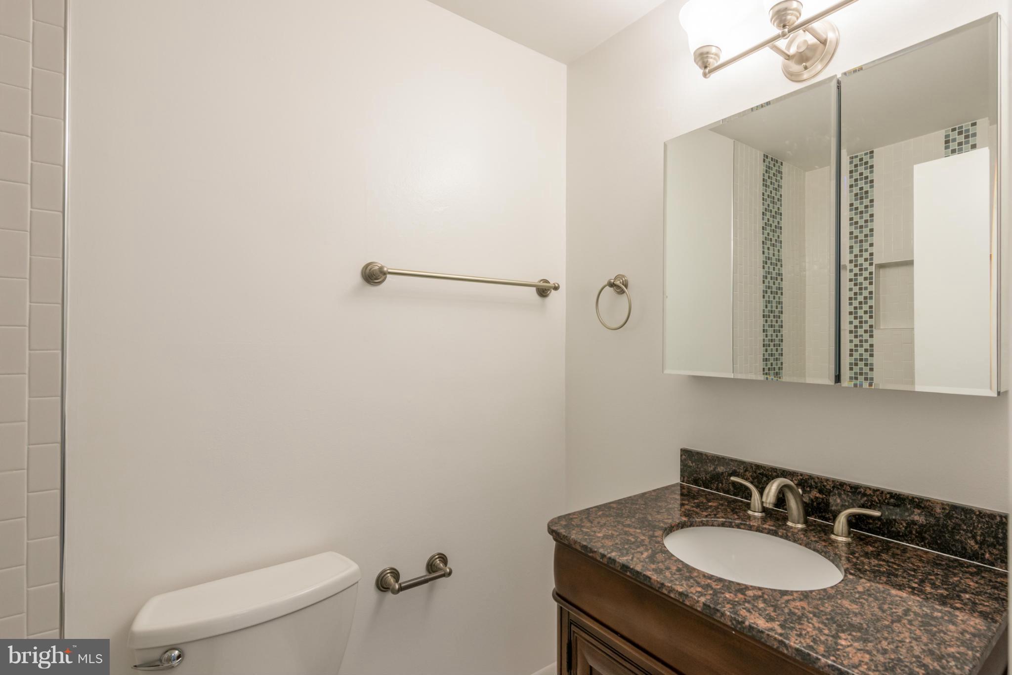 12430 Littleton Street Silver Spring, MD 20906 - Photo 18 of 28 Renovated Main Bath