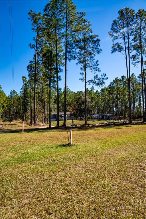 132 Nutmeg Trail Interlachen, FL 32148 - Photo 88 of 100