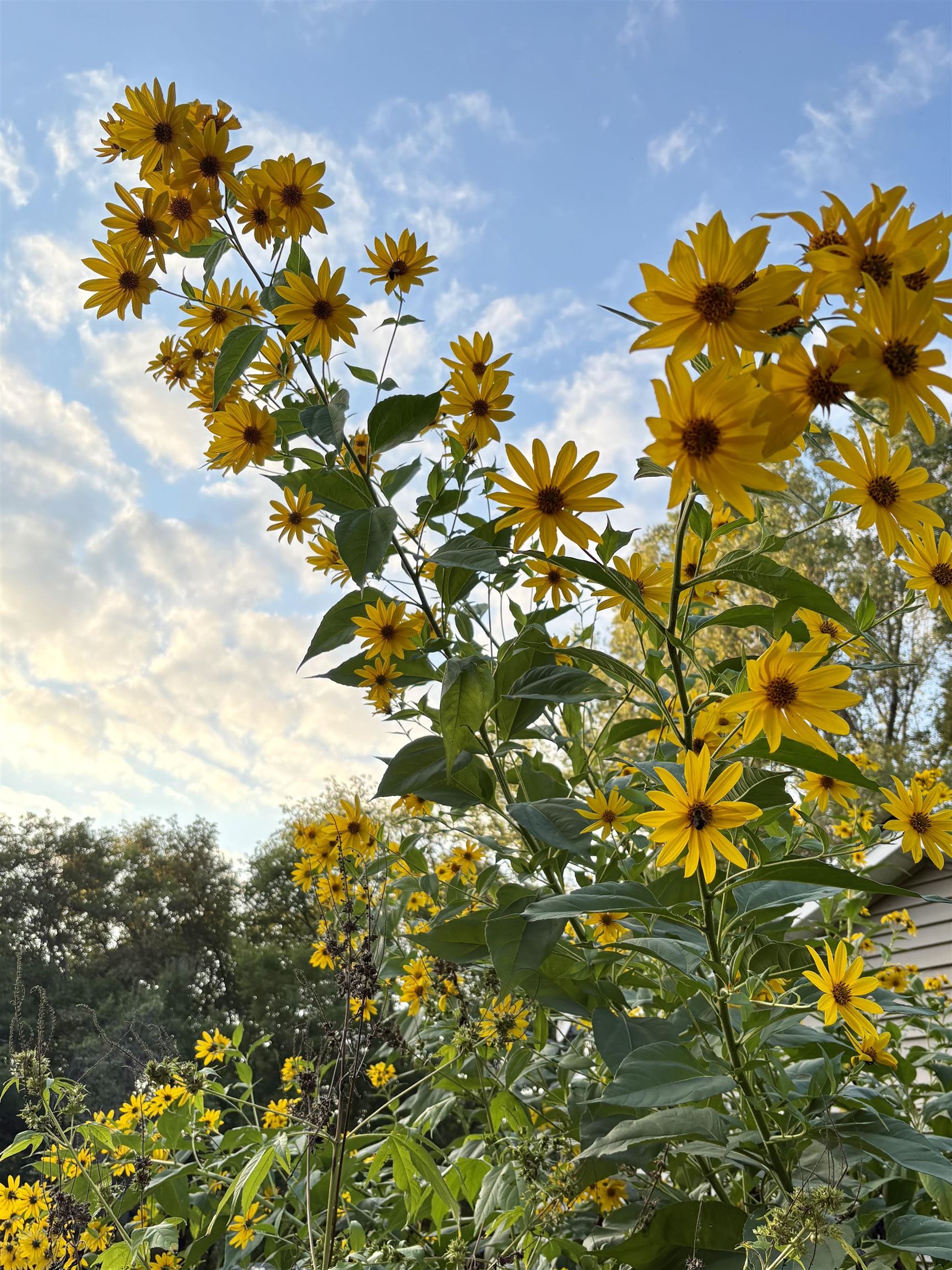 3405 CTH C Pulaski, WI 54162 - Photo 27 of 44