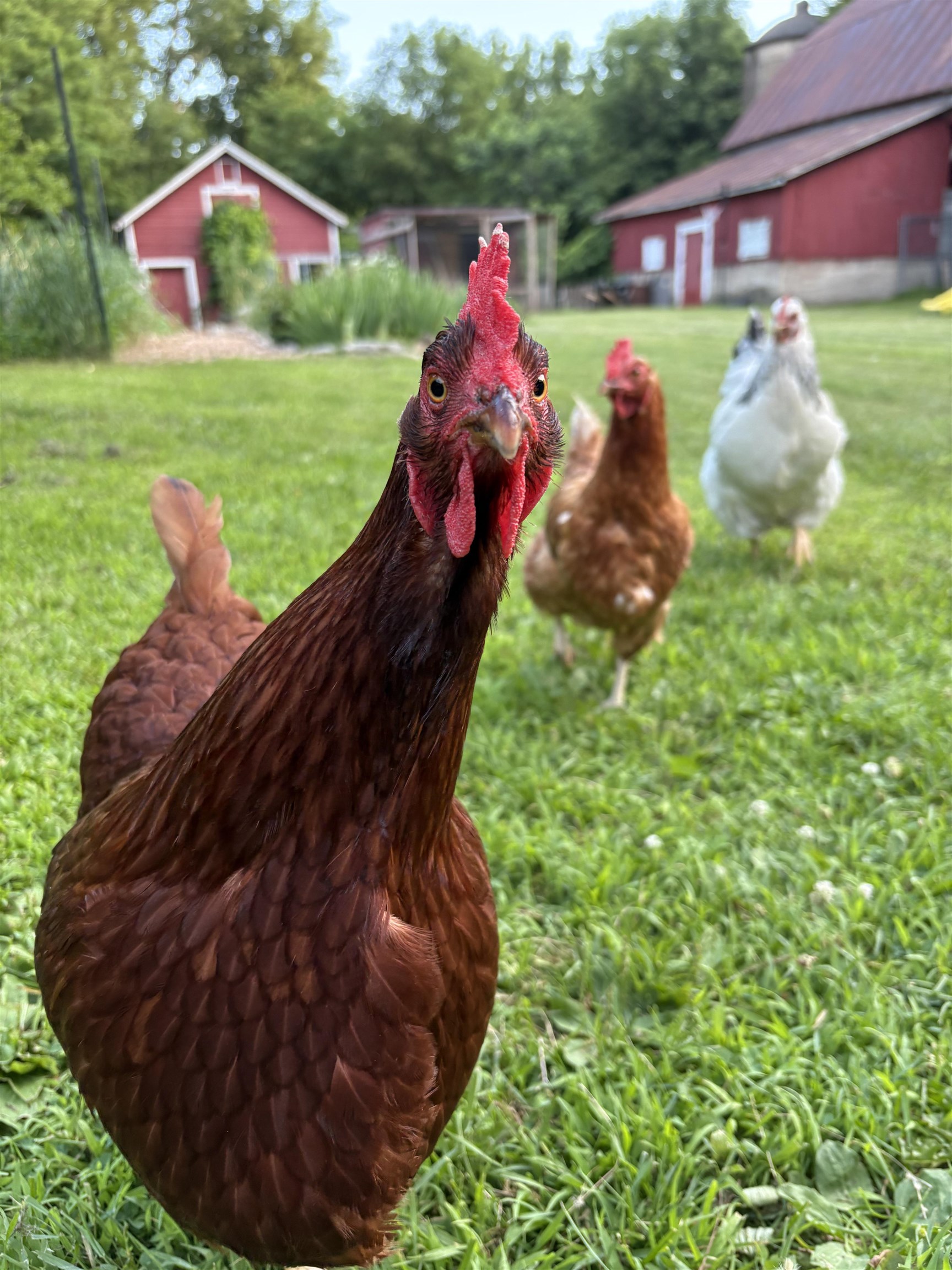 3405 CTH C Pulaski, WI 54162 - Photo 31 of 44