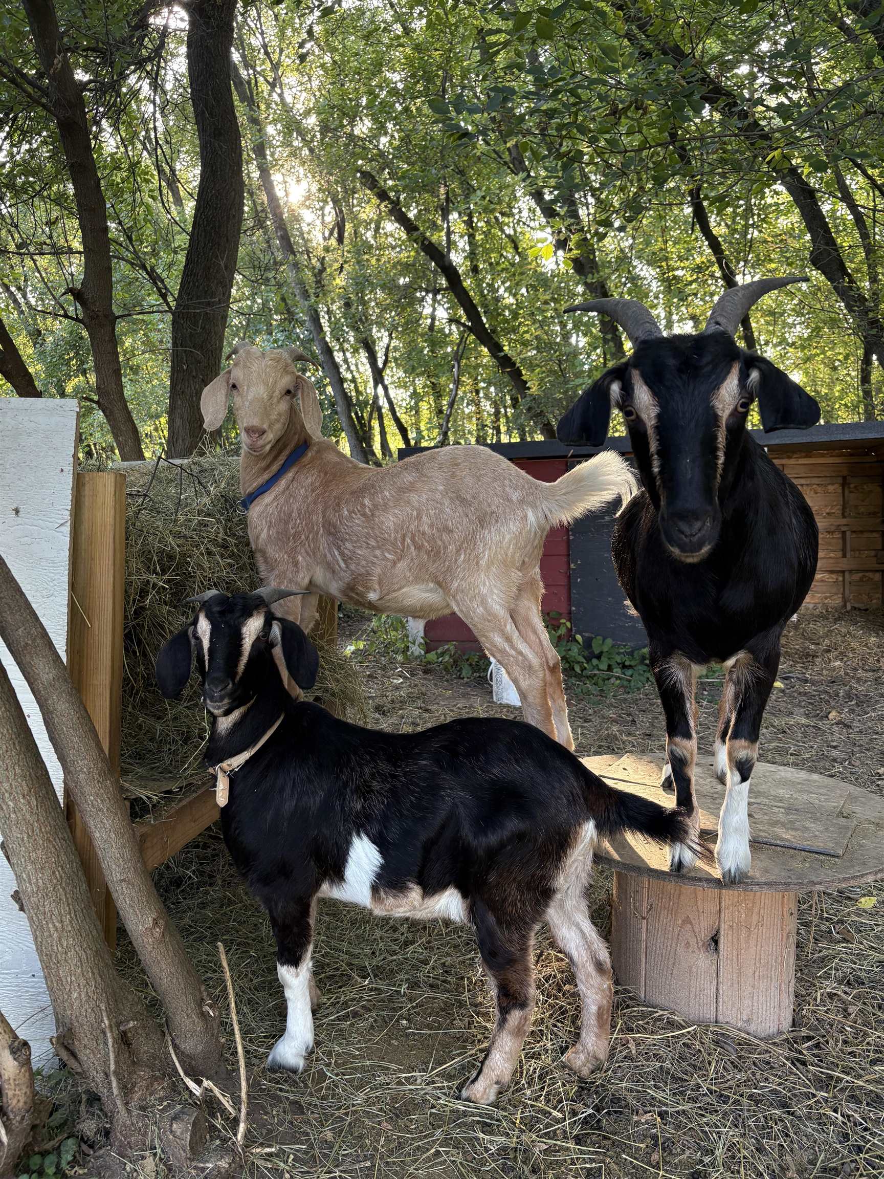 3405 CTH C Pulaski, WI 54162 - Photo 33 of 44