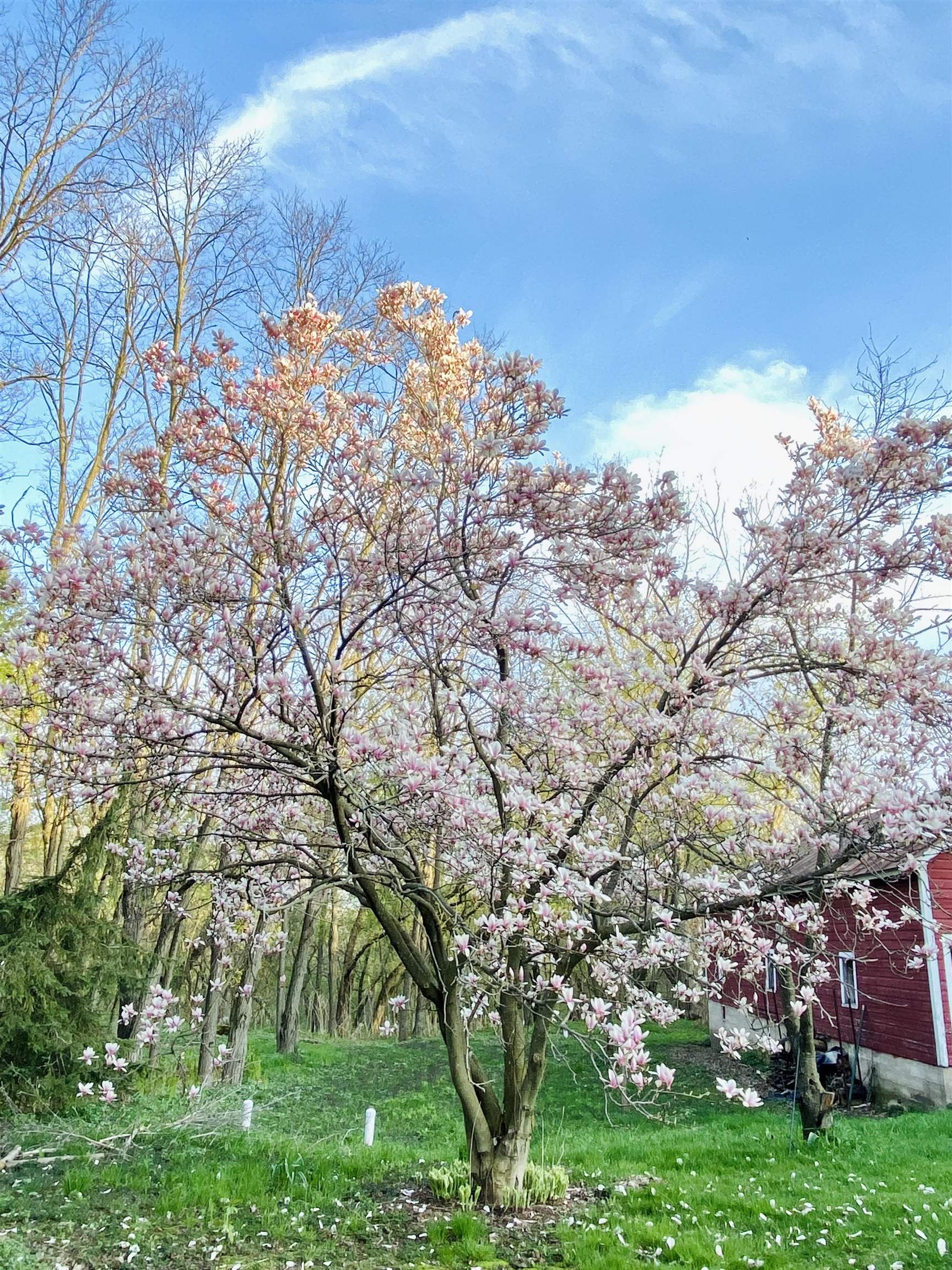 3405 CTH C Pulaski, WI 54162 - Photo 35 of 44