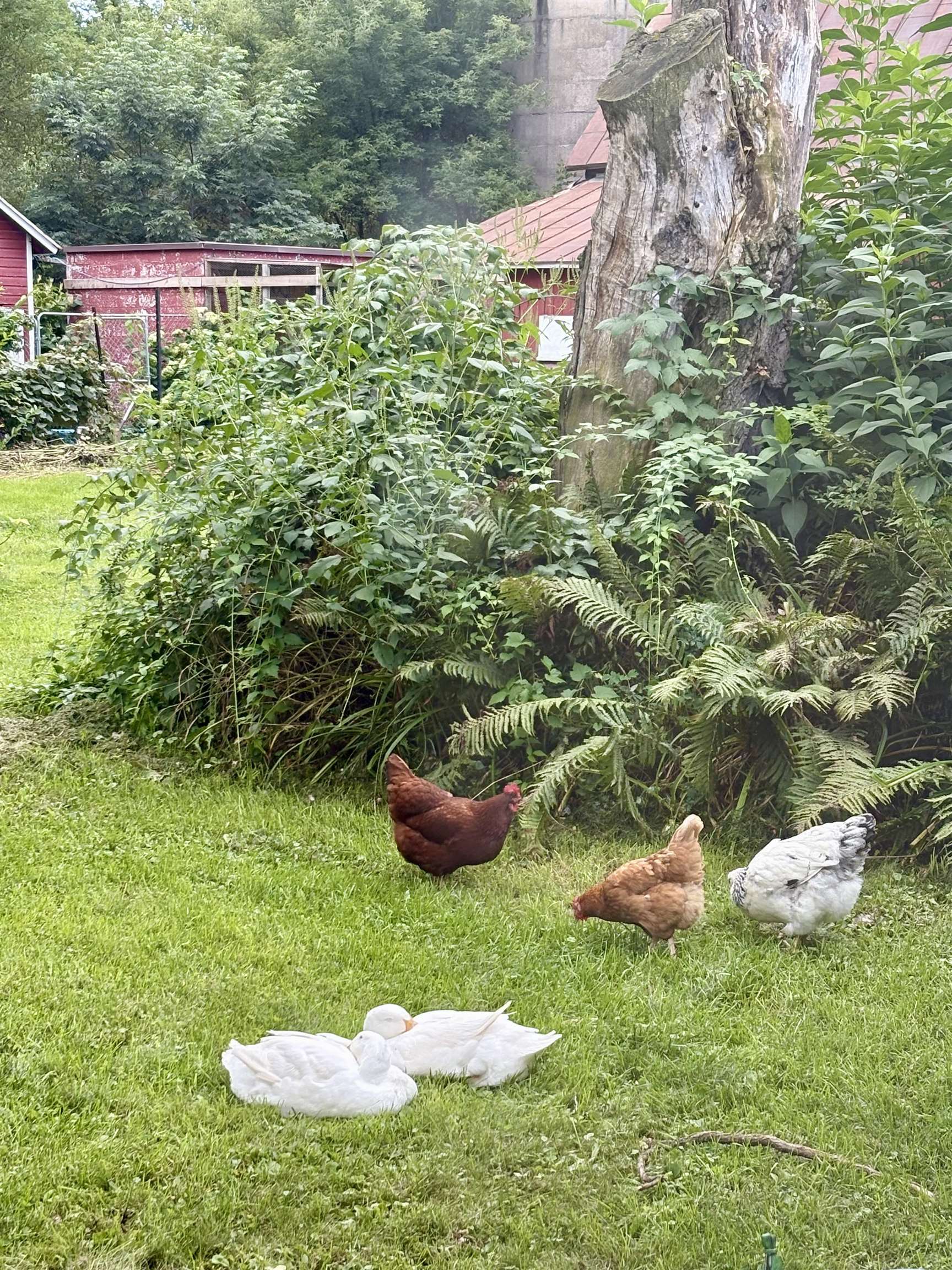 3405 CTH C Pulaski, WI 54162 - Photo 37 of 46