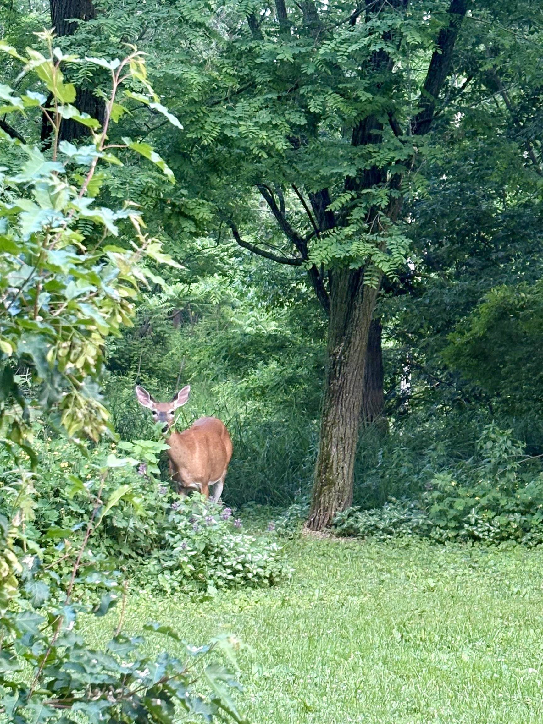 3405 CTH C Pulaski, WI 54162 - Photo 38 of 44