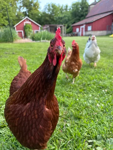 $421,000 | 3405 CTH C, Pulaski, WI 54162