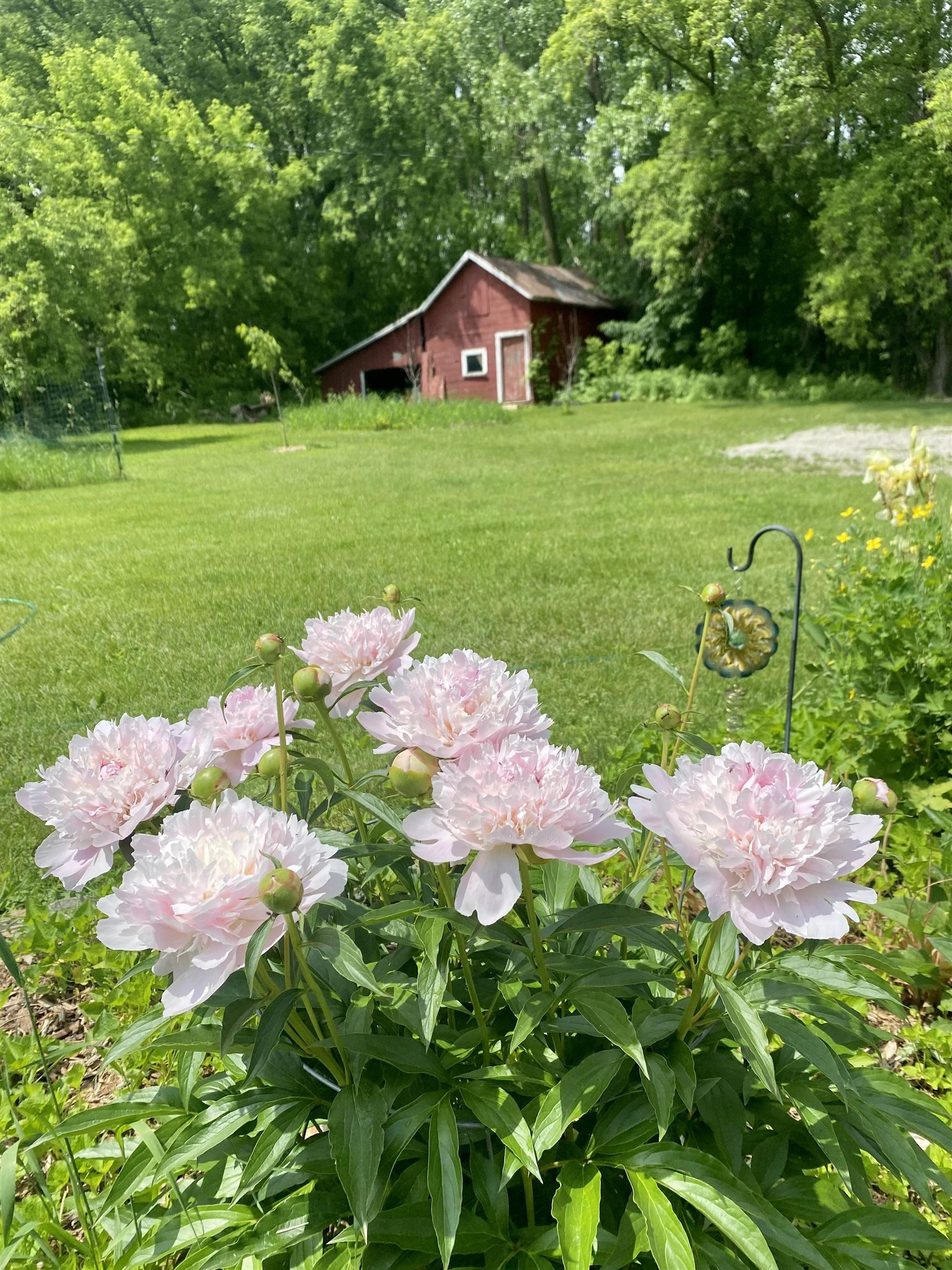 3405 CTH C Pulaski, WI 54162 - Photo 41 of 44