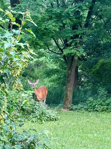 $421,000 | 3405 CTH C, Pulaski, WI 54162