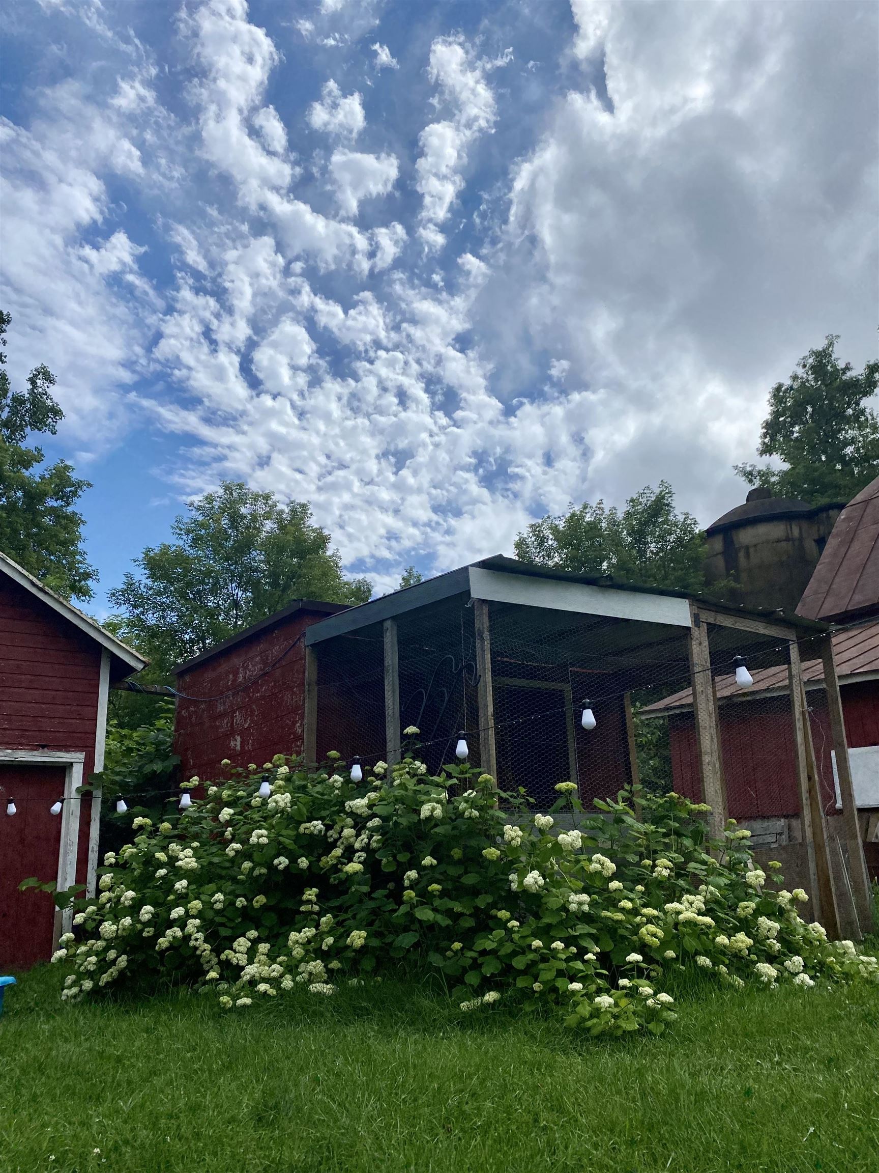 3405 CTH C Pulaski, WI 54162 - Photo 42 of 44