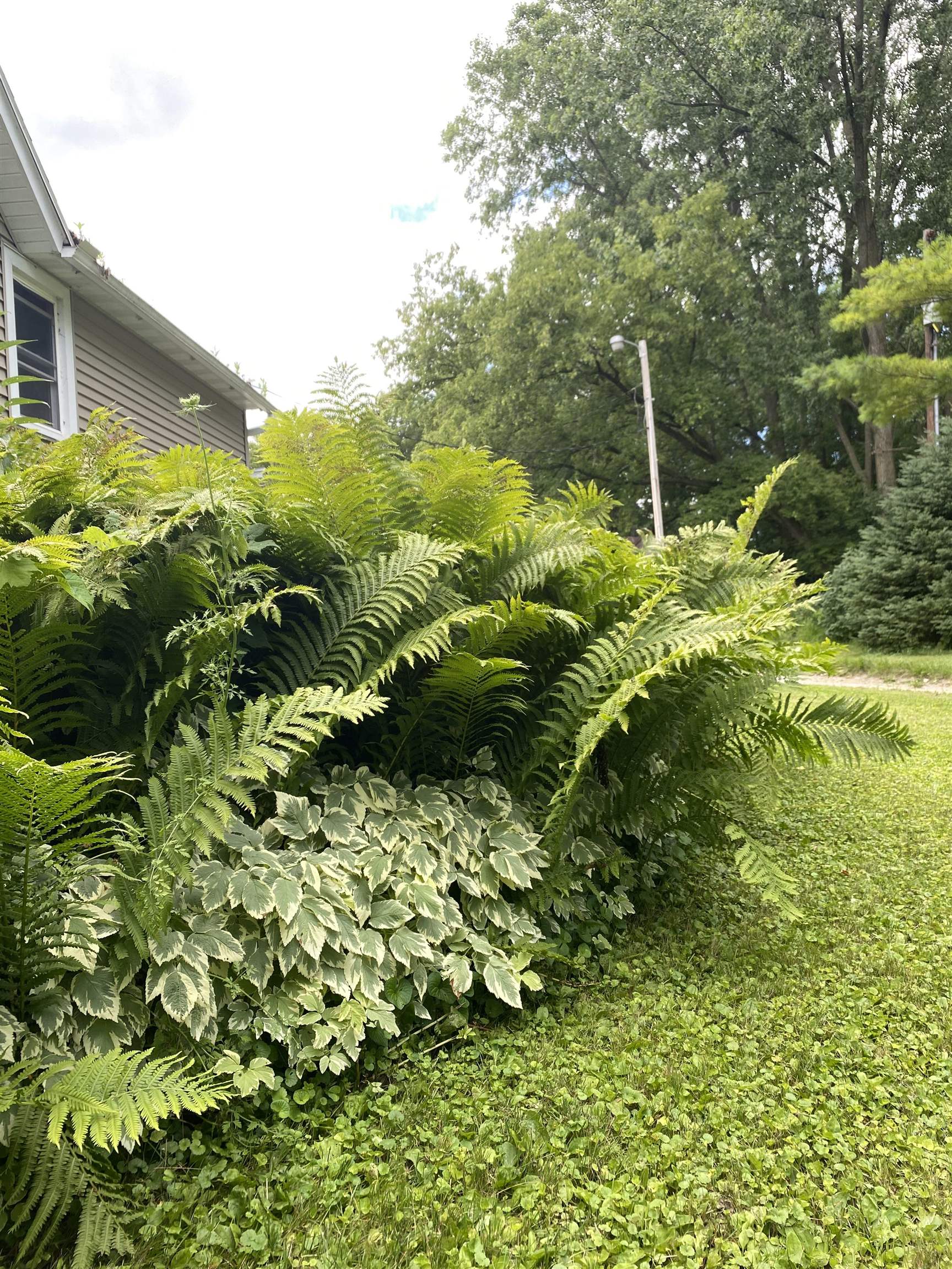 3405 CTH C Pulaski, WI 54162 - Photo 43 of 44