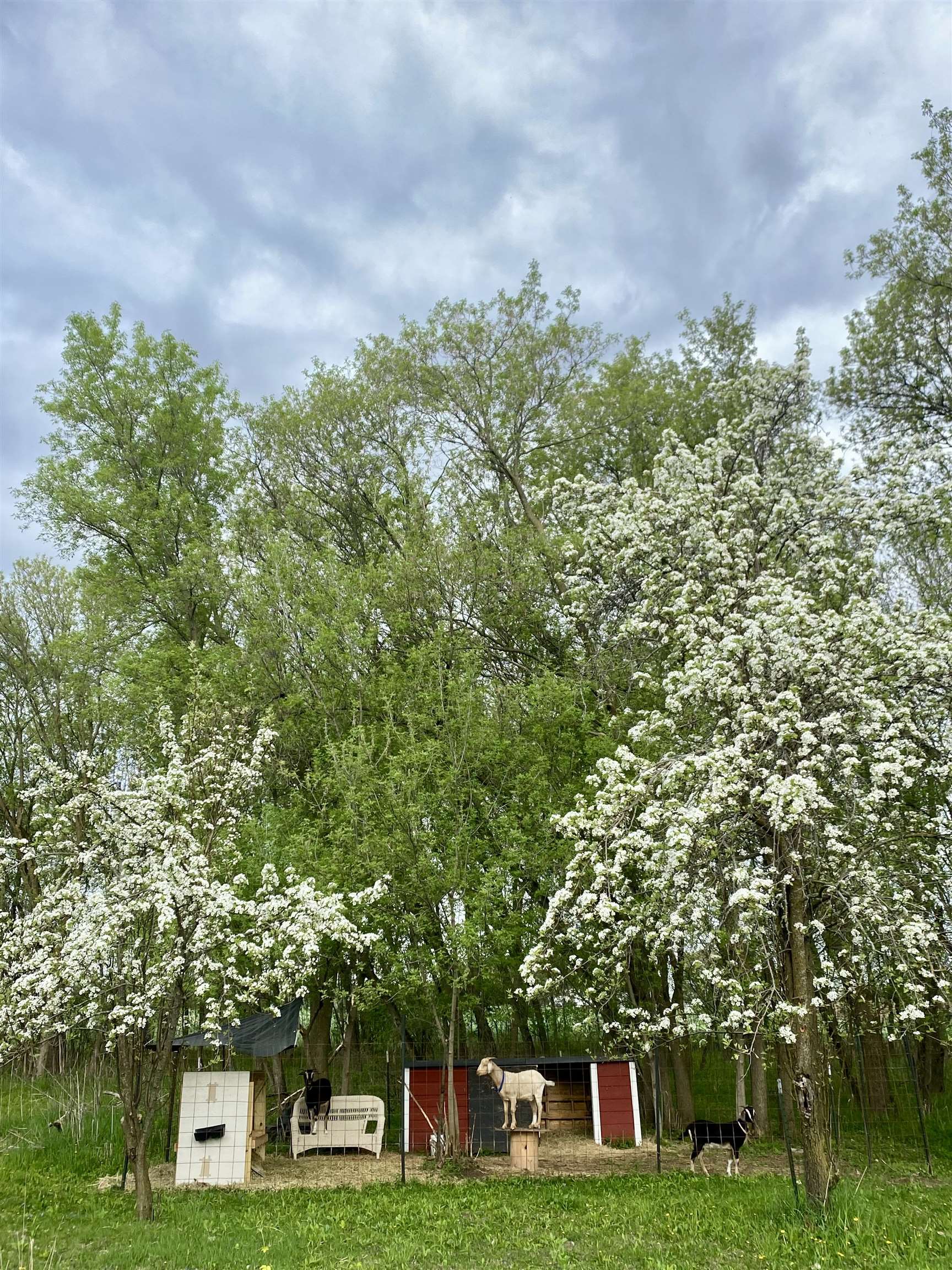 3405 CTH C Pulaski, WI 54162 - Photo 45 of 46