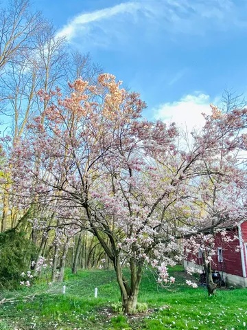 $421,000 | 3405 CTH C, Pulaski, WI 54162