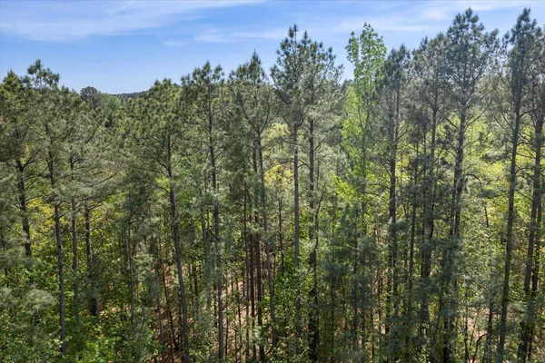 $54,990 | Lot 96 Sturgeon Road, Lawrenceville, VA 23868