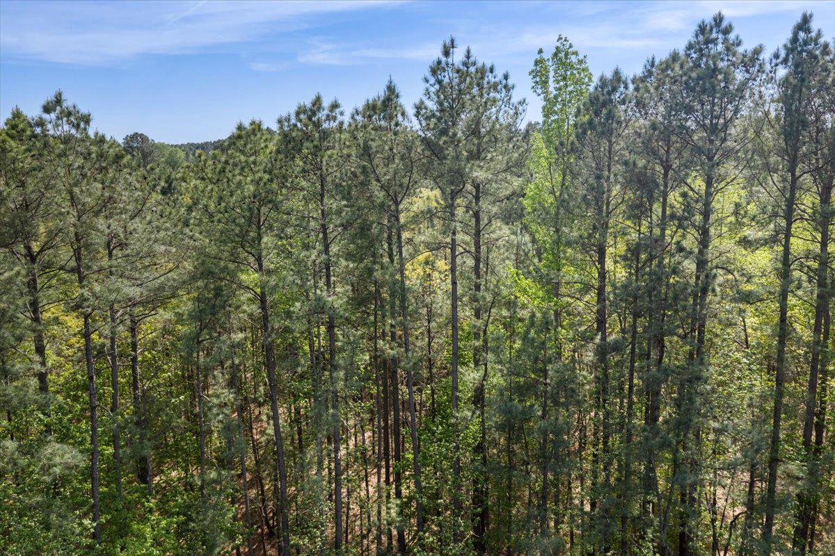 Sturgeon Road Lawrenceville, VA 23868 - Photo 14 of 23