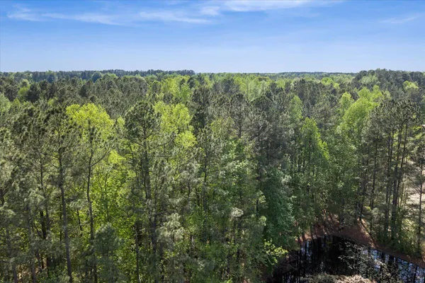 $54,990 | Lot 96 Sturgeon Road, Lawrenceville, VA 23868