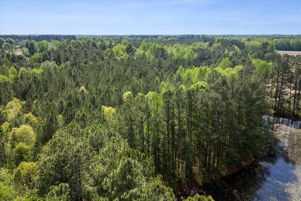 $54,990 | Lot 96 Sturgeon Road, Lawrenceville, VA 23868