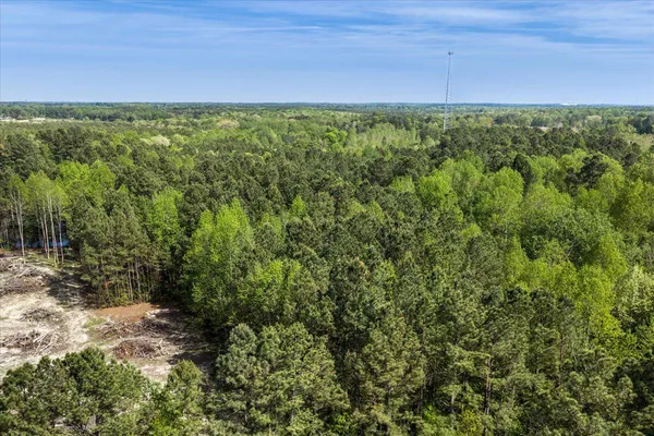 $54,990 | Lot 96 Sturgeon Road, Lawrenceville, VA 23868