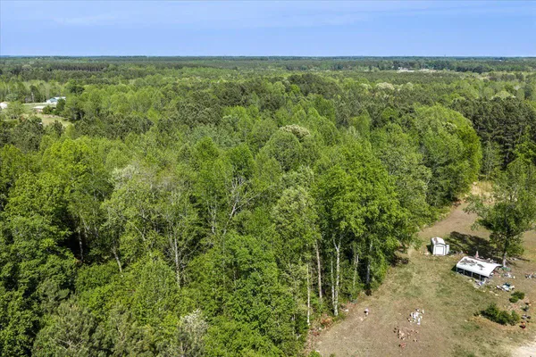 $54,990 | Lot 96 Sturgeon Road, Lawrenceville, VA 23868