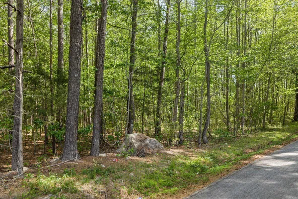 $54,990 | Lot 96 Sturgeon Road, Lawrenceville, VA 23868