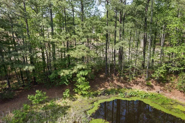 $54,990 | Lot 96 Sturgeon Road, Lawrenceville, VA 23868