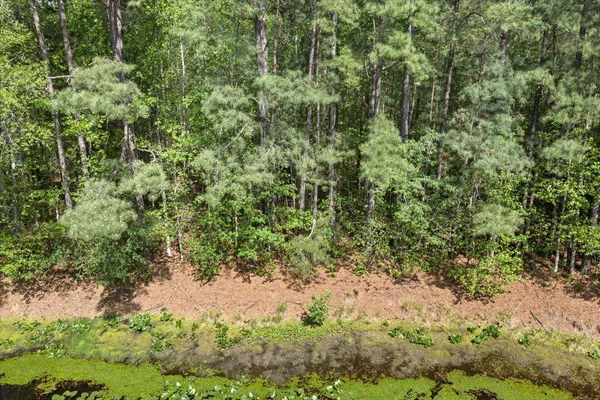 $54,990 | Lot 96 Sturgeon Road, Lawrenceville, VA 23868