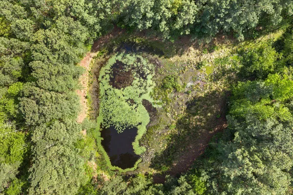 $54,990 | Lot 96 Sturgeon Road, Lawrenceville, VA 23868